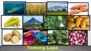 halimbawa produkto ng pampanga|Likas na Yaman ng Pilipinas: Mga Produkto at Hanapbuhay na .